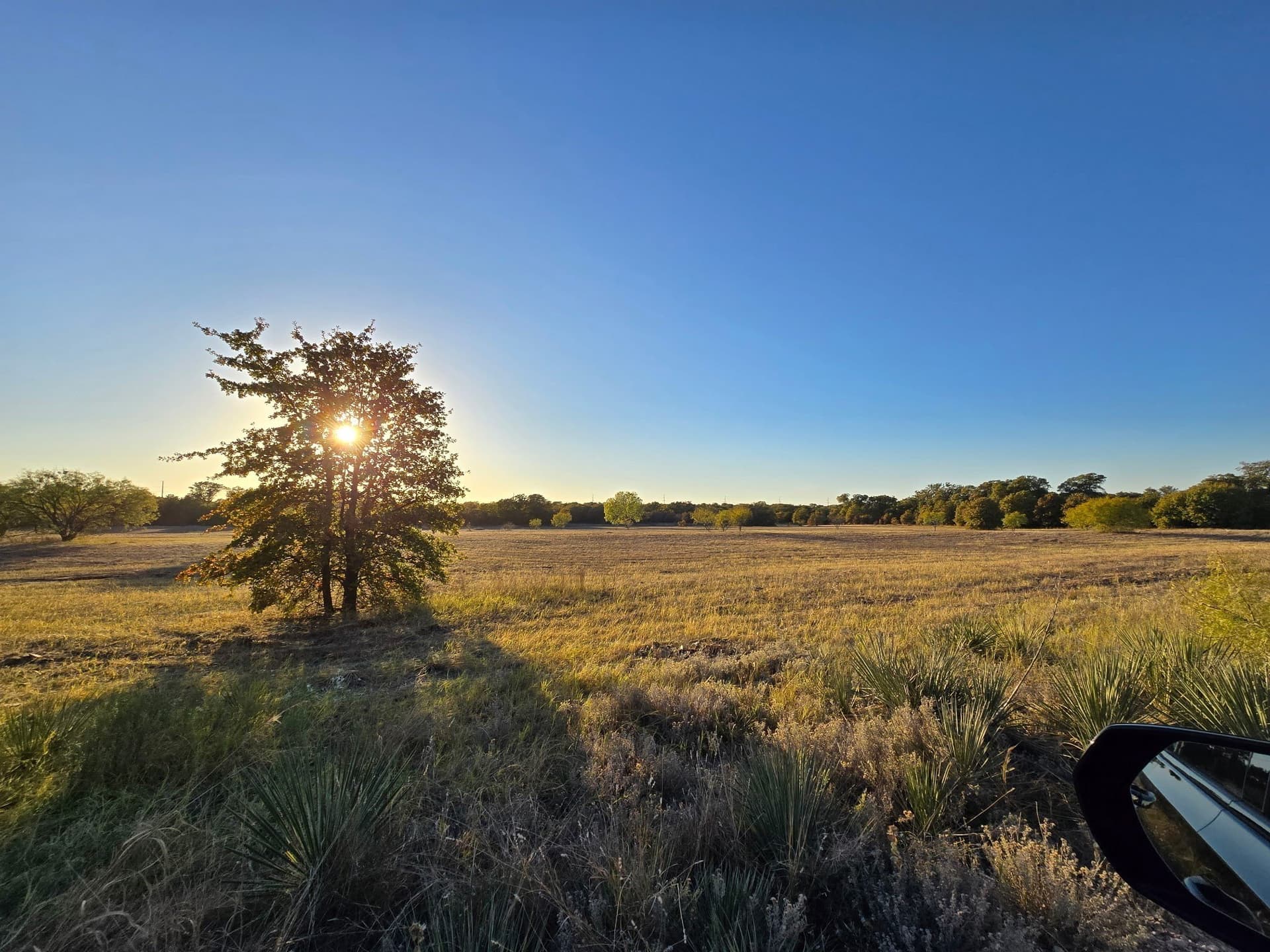 35.38 acres in Jones County