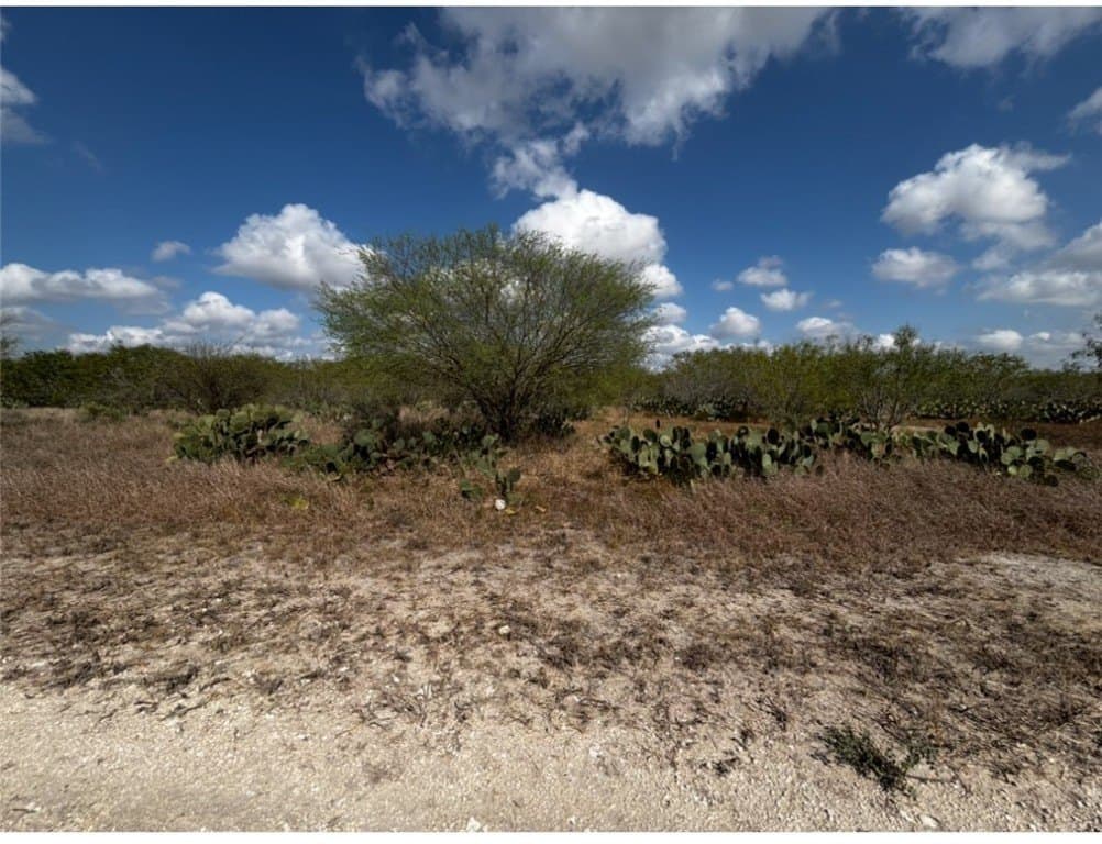 10.98 acres in Jim Wells County