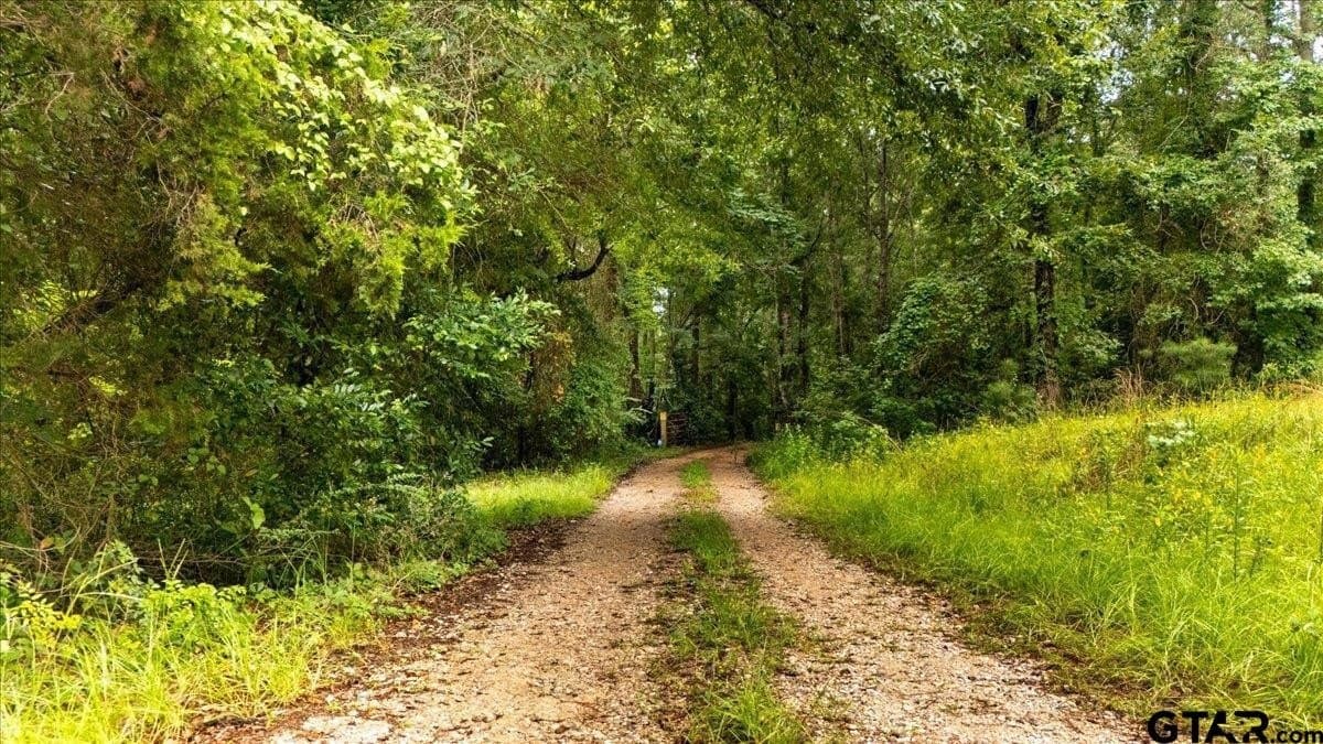 11 acres in Smith County