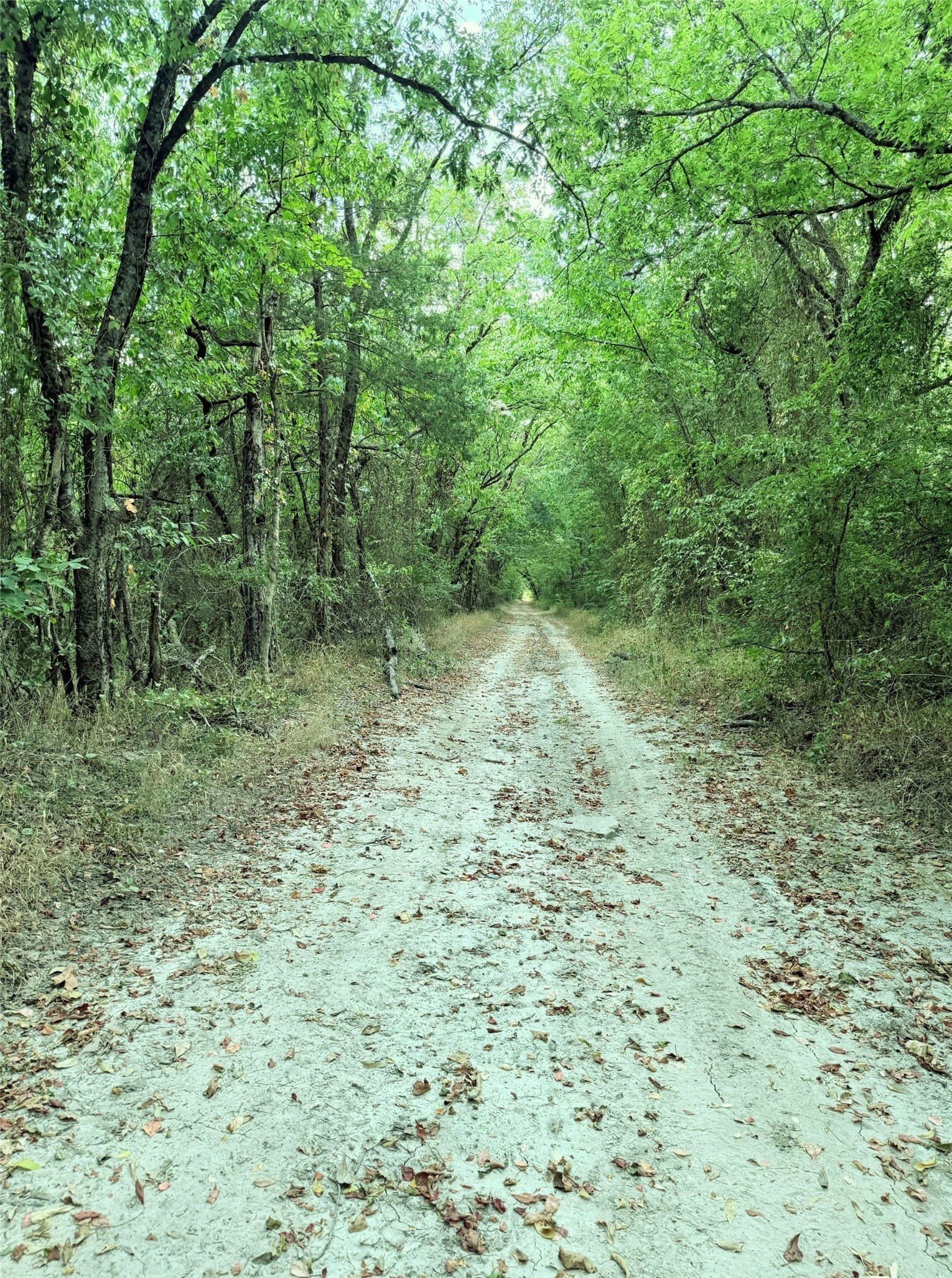 12.4 acres in Hunt County