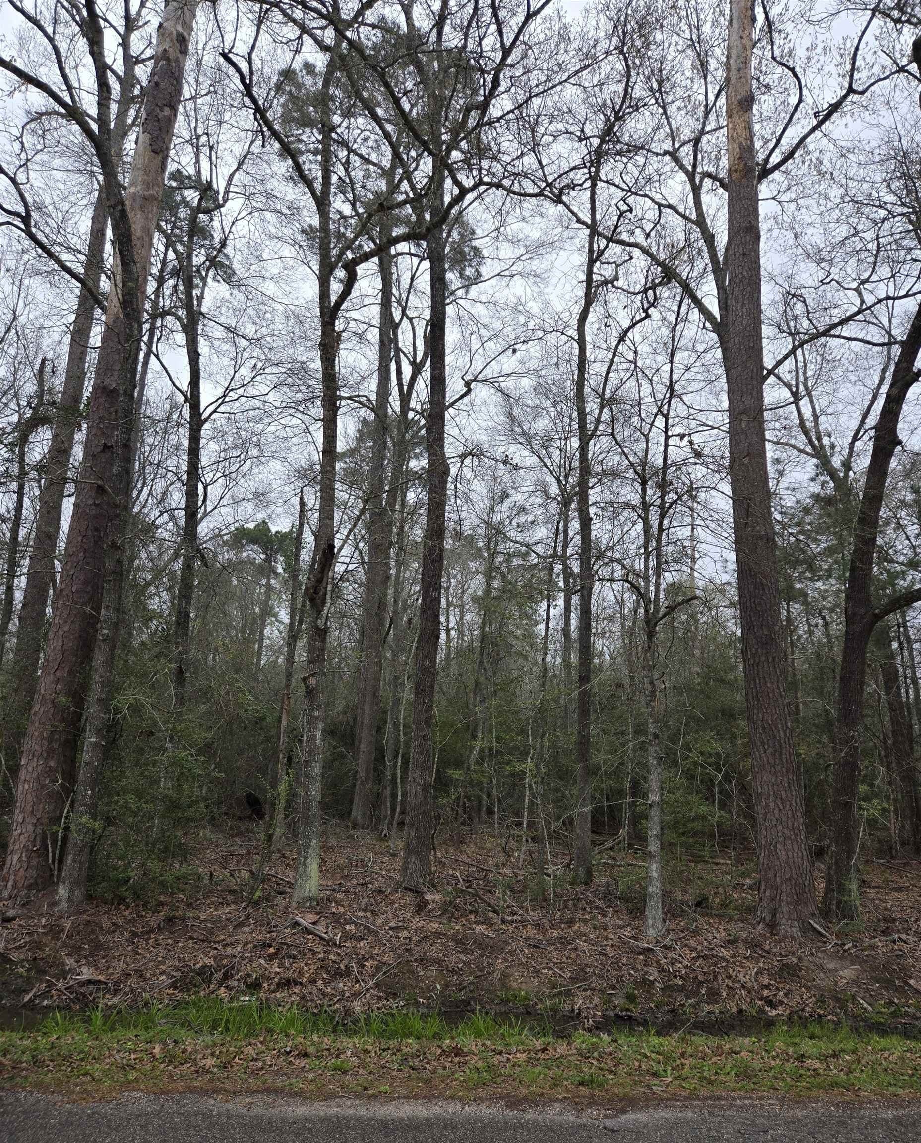 10.5 acres in Texas County
