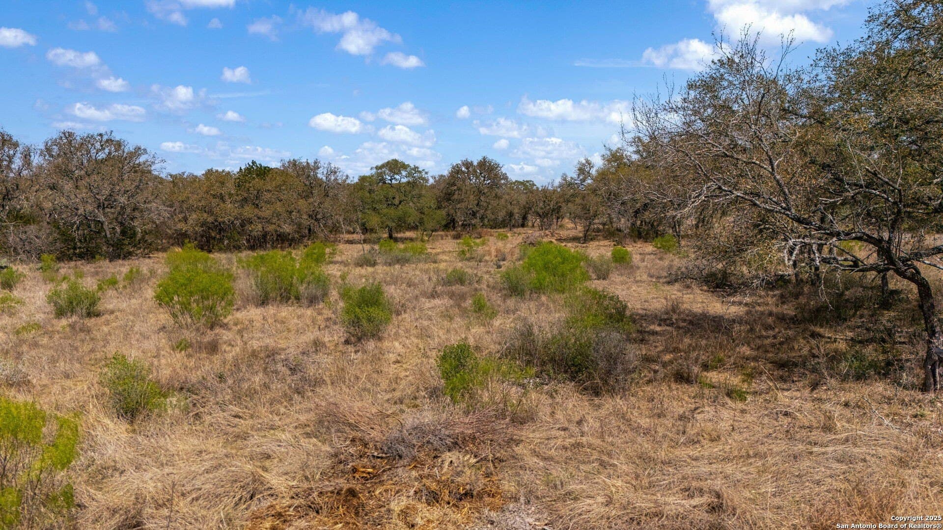 12.04 acres in Medina County