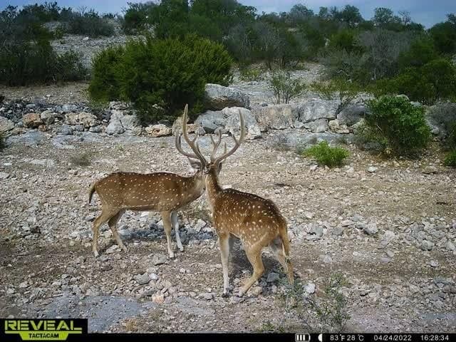 34.27 acres in Edwards County
