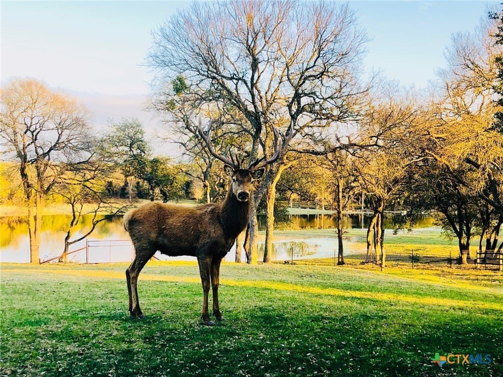 207 acres in Burnet County