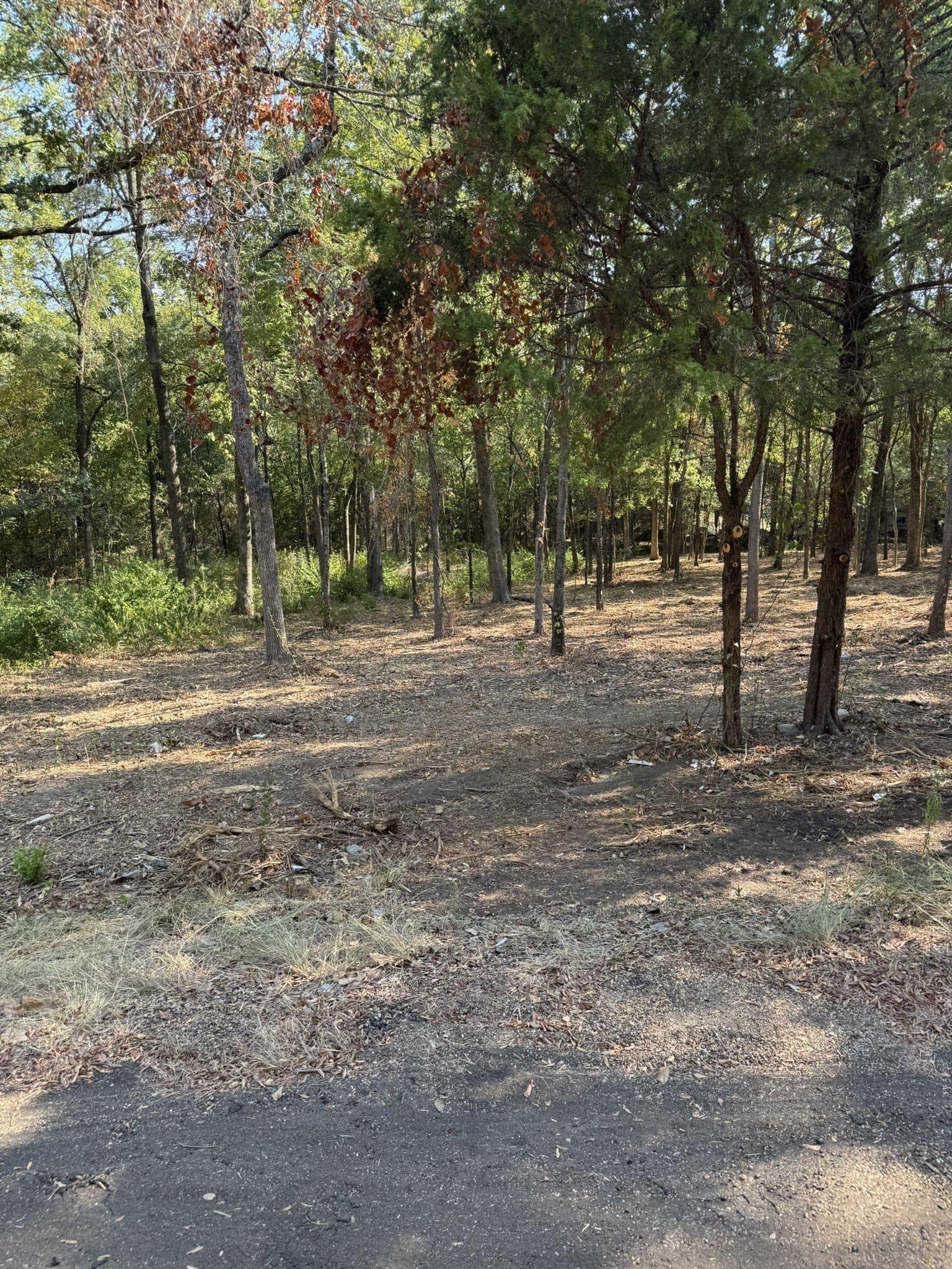 0.38 acres in Henderson County