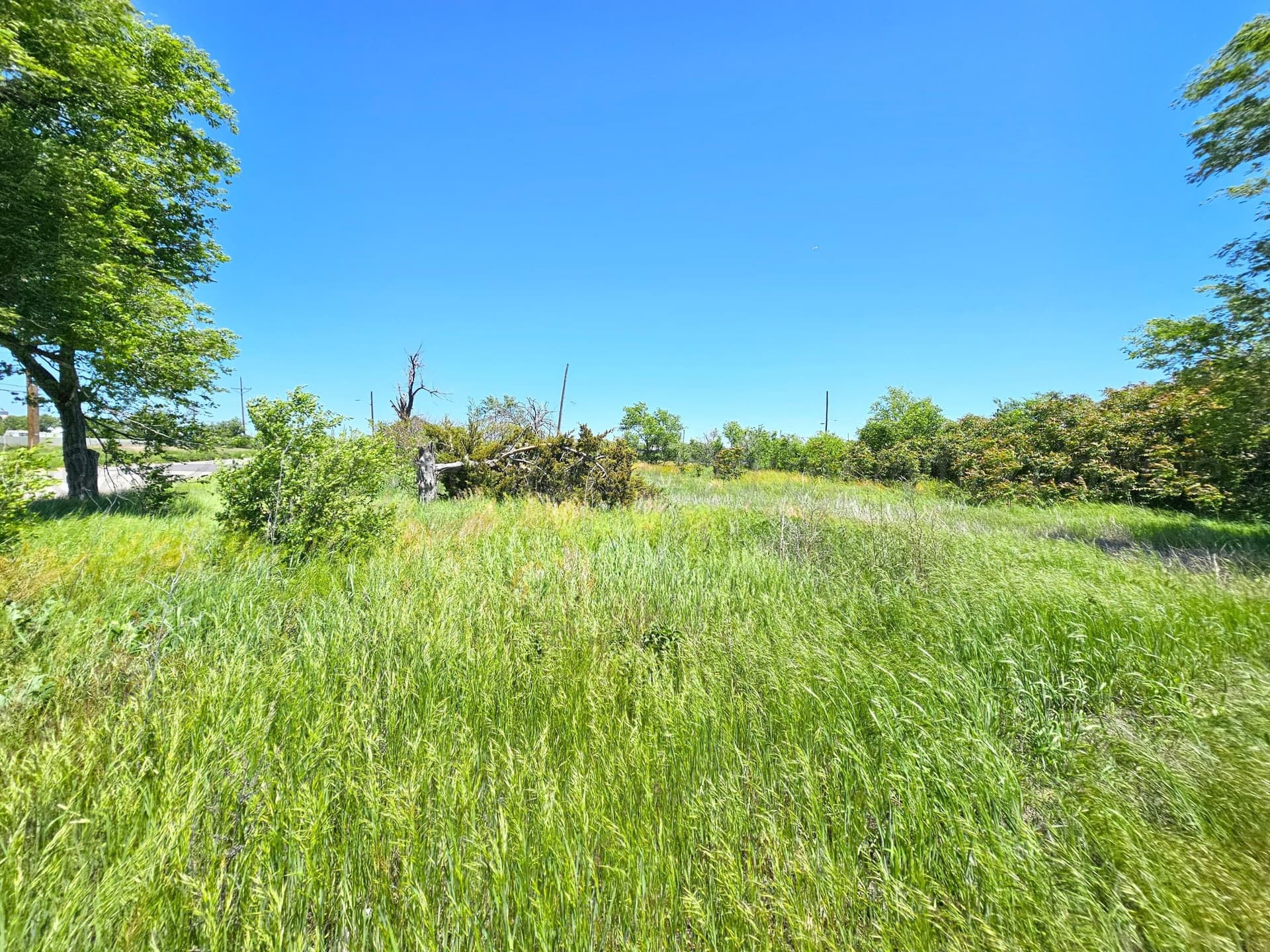 0 acres in Texas County