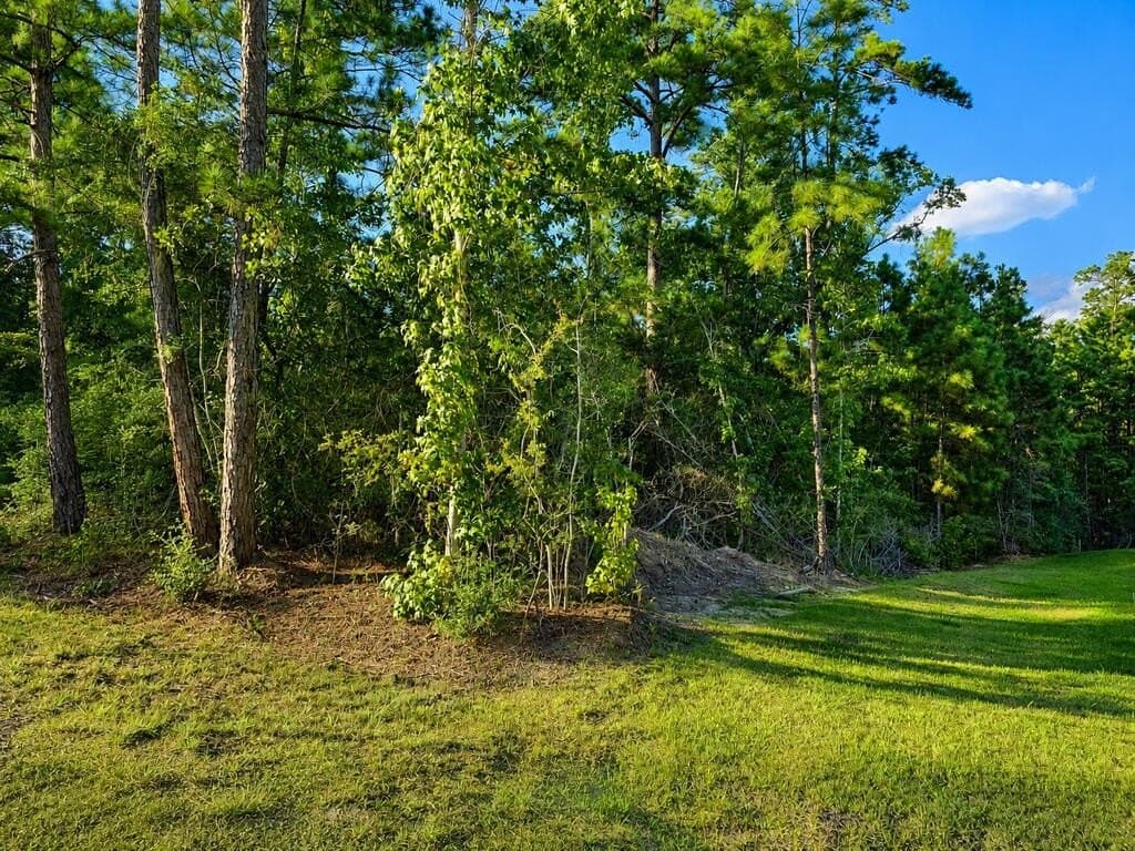 0.23 acres in Texas County