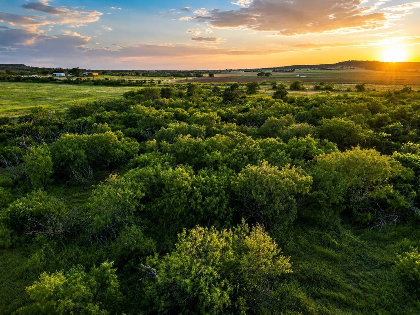 159.57 acres in Comanche County