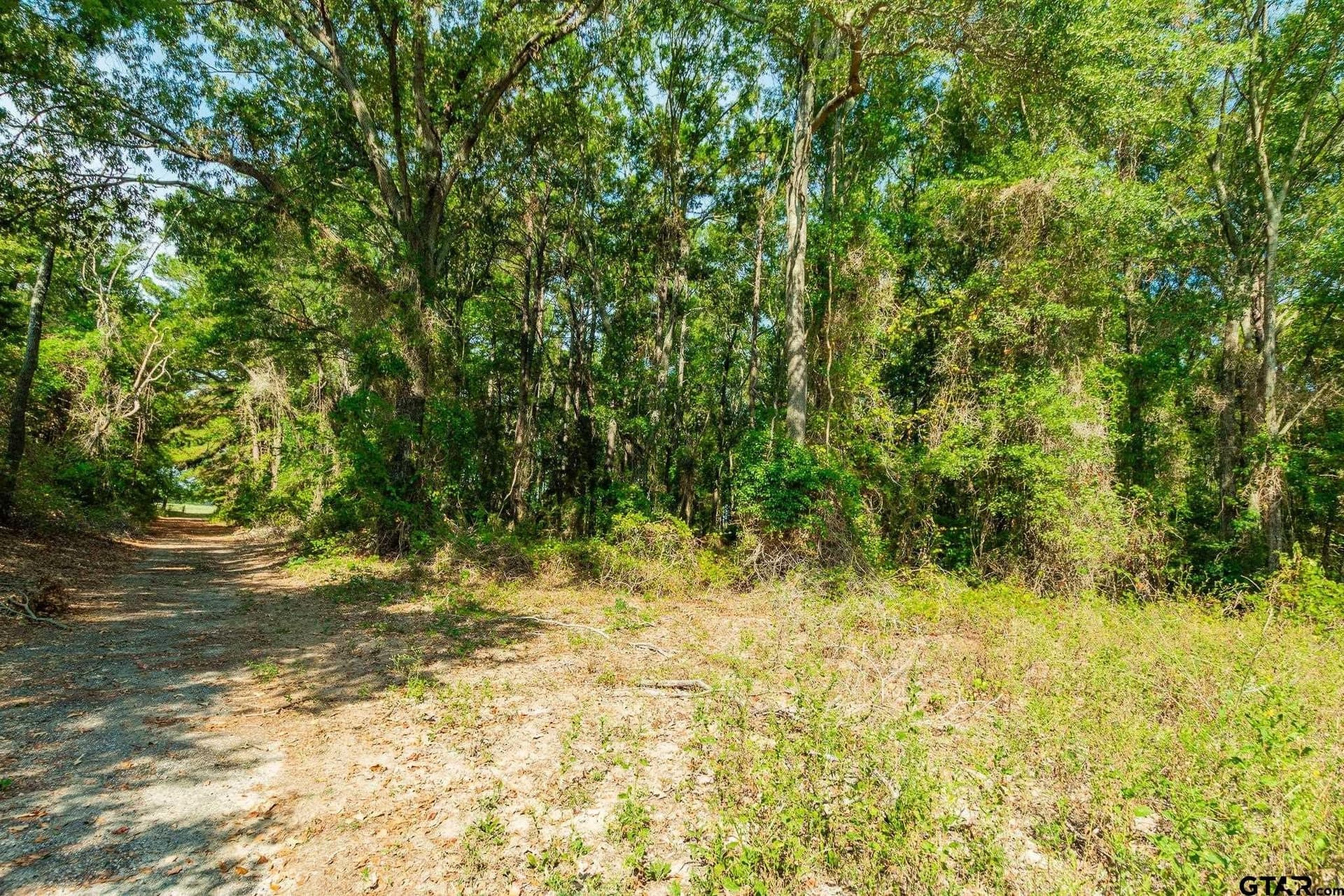 19.88 acres in Smith County