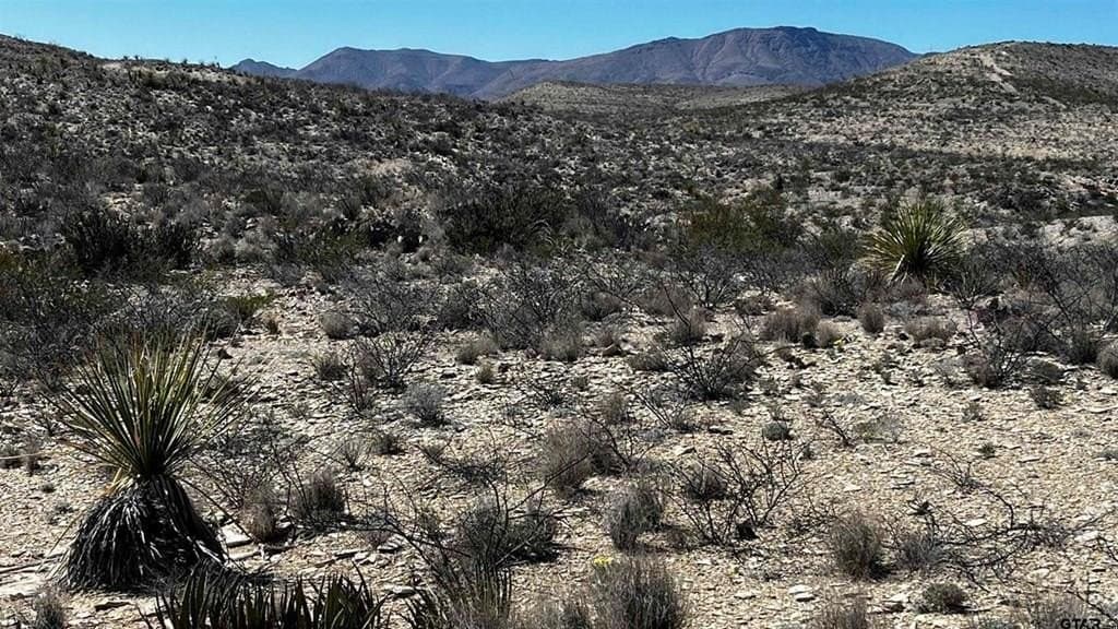 20 acres in Brewster County