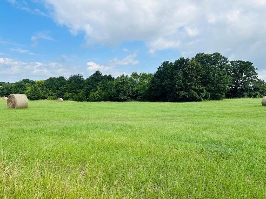 15.03 acres in Henderson County