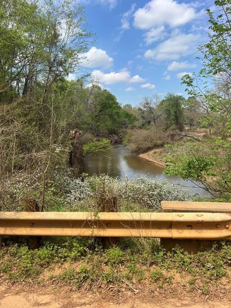 147.5 acres in Anderson County