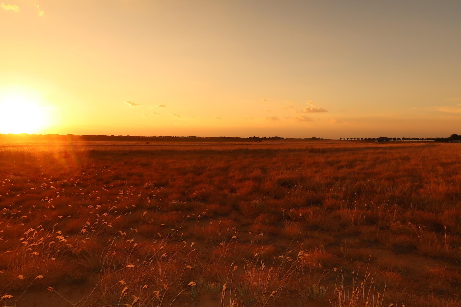 10.02 acres in Lubbock County
