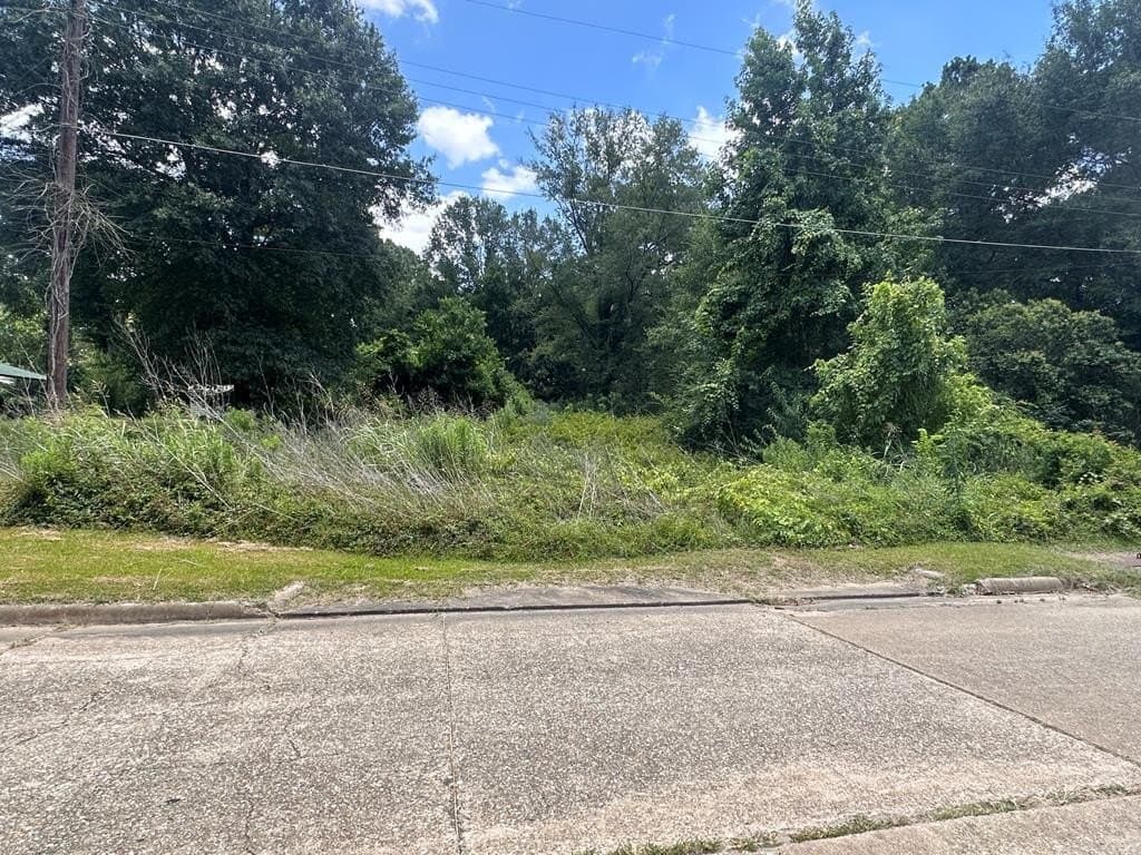 1.34 acres in Texas County