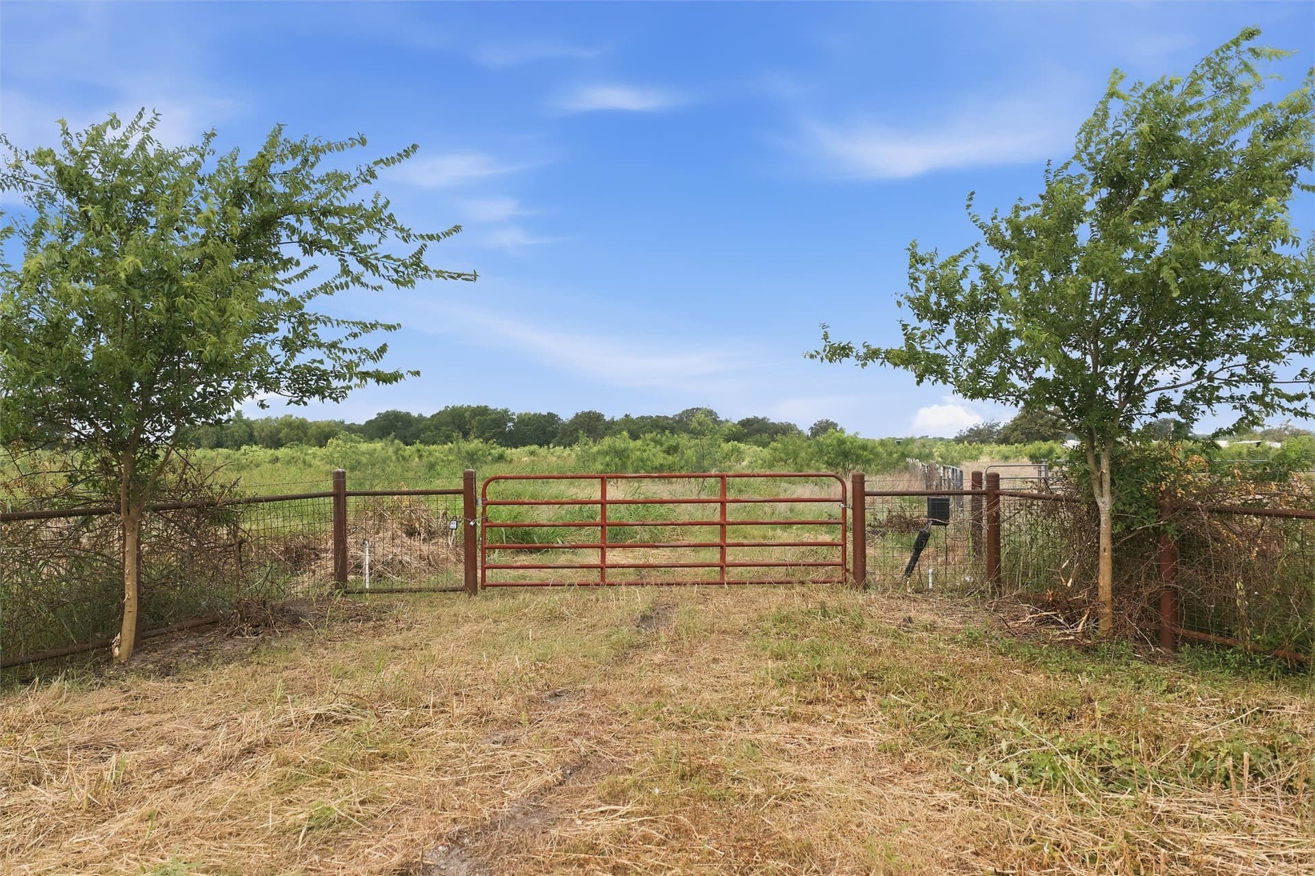 49.75 acres in Limestone County
