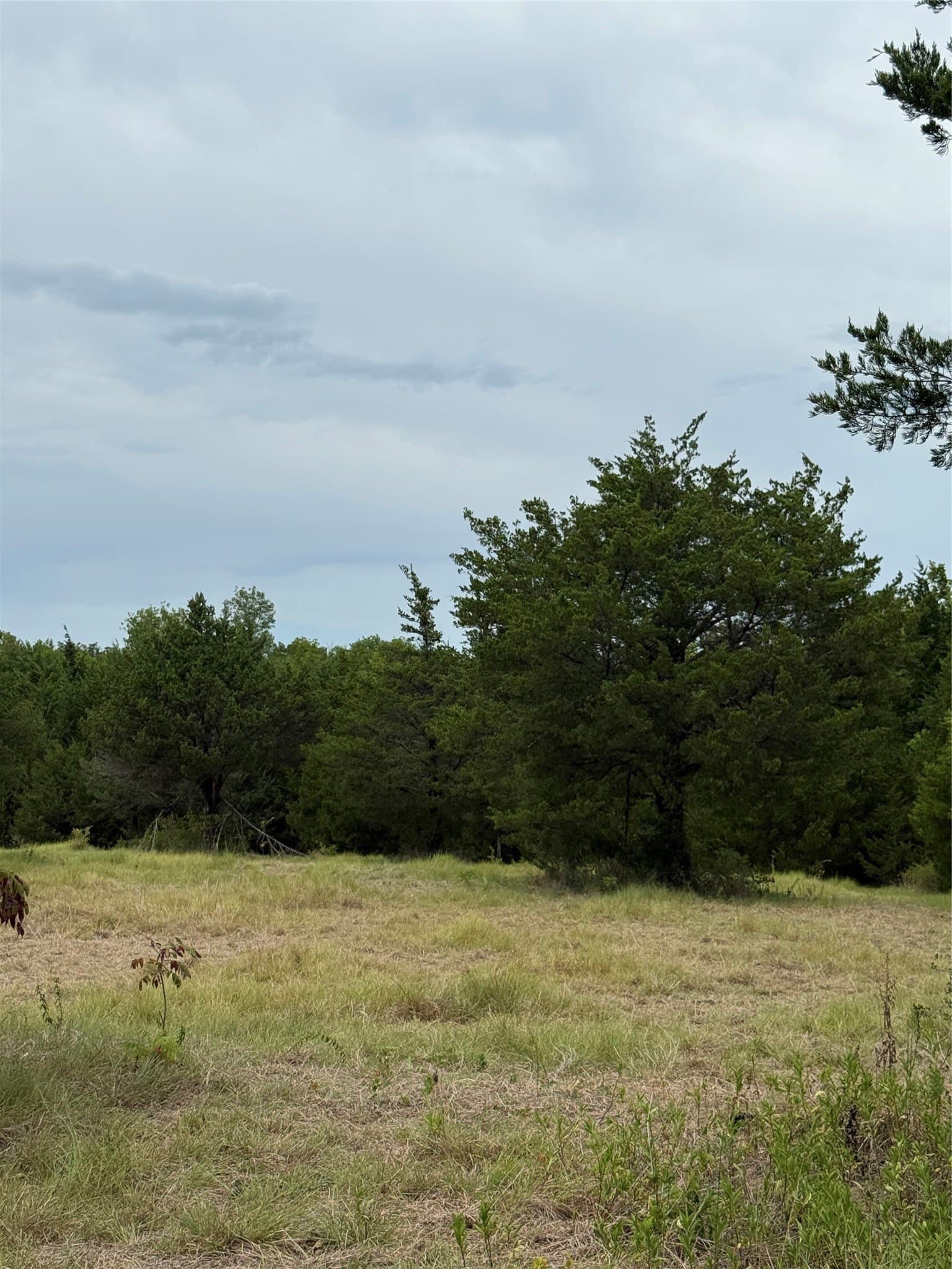 11.1 acres in Fannin County