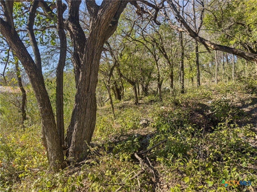 0.35 acres in Comal County