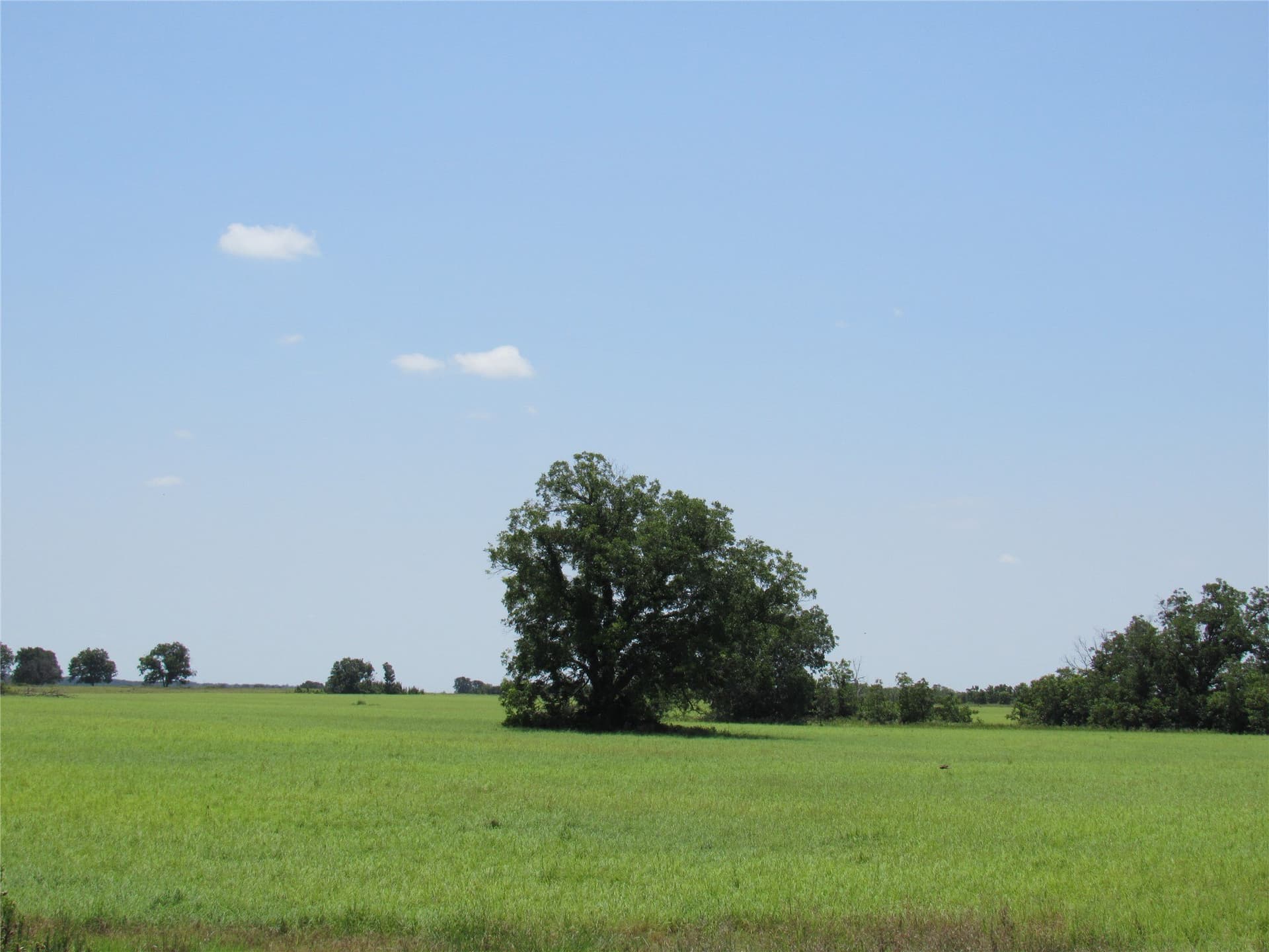 102.35 acres in Eastland County