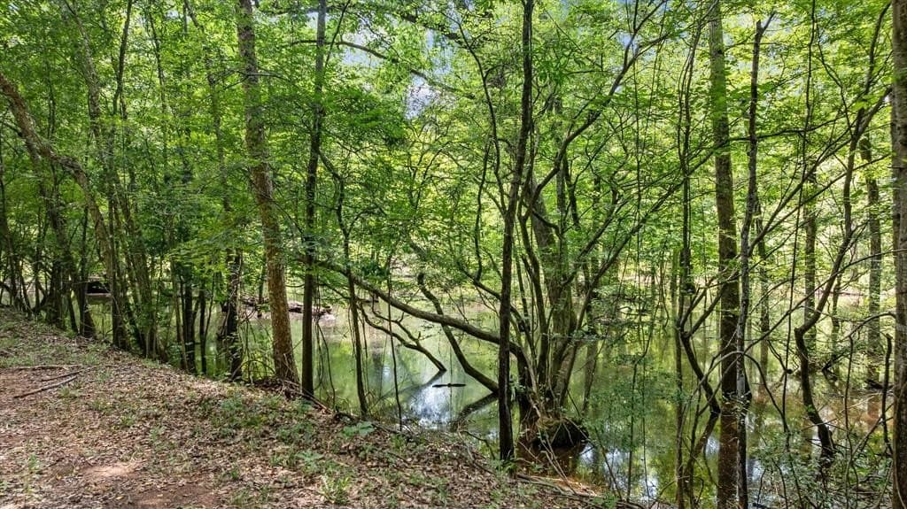 159.31 acres in Texas County