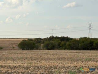 22.64 acres in Bell County