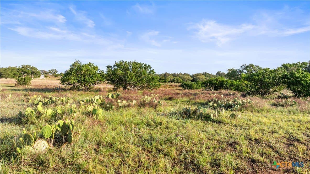 5 acres in Blanco County