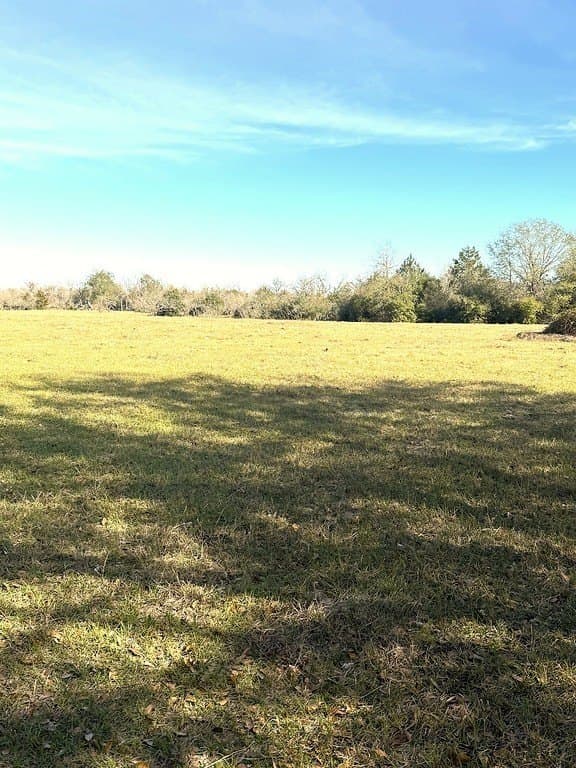 63 acres in Lee County