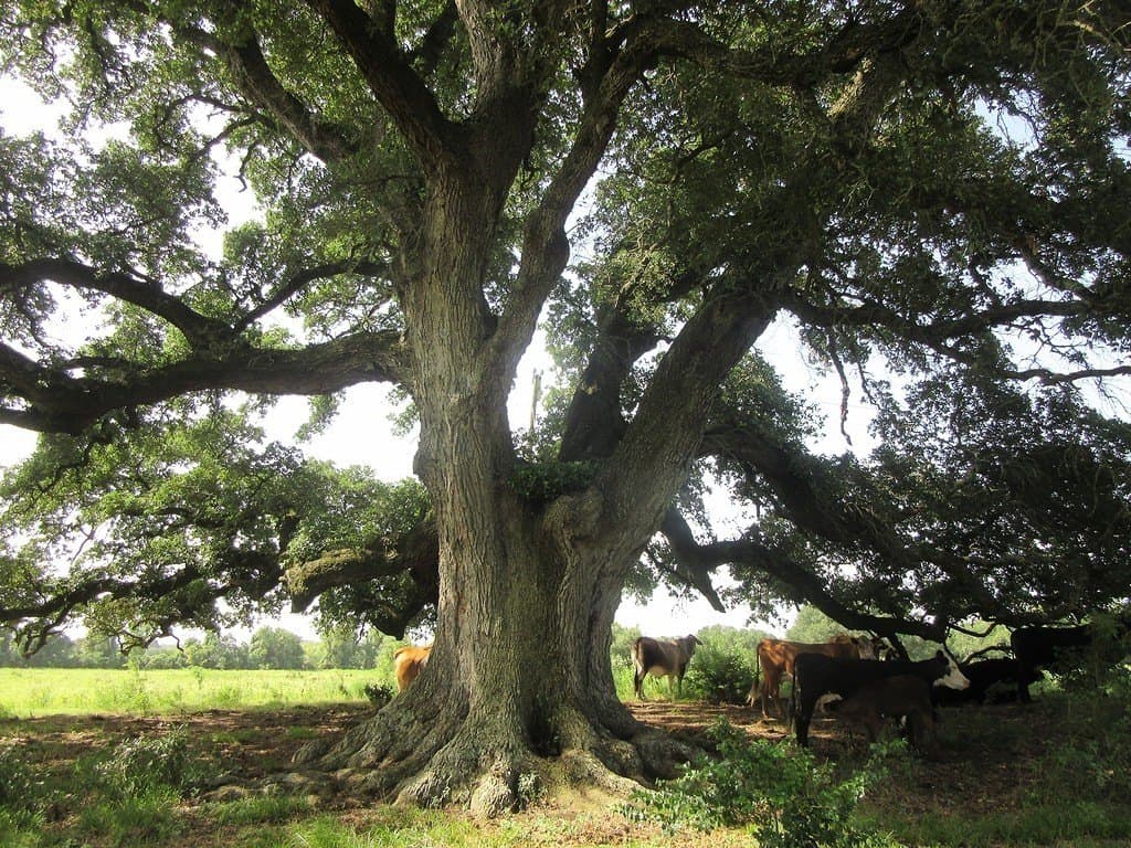 120.39 acres in Washington County