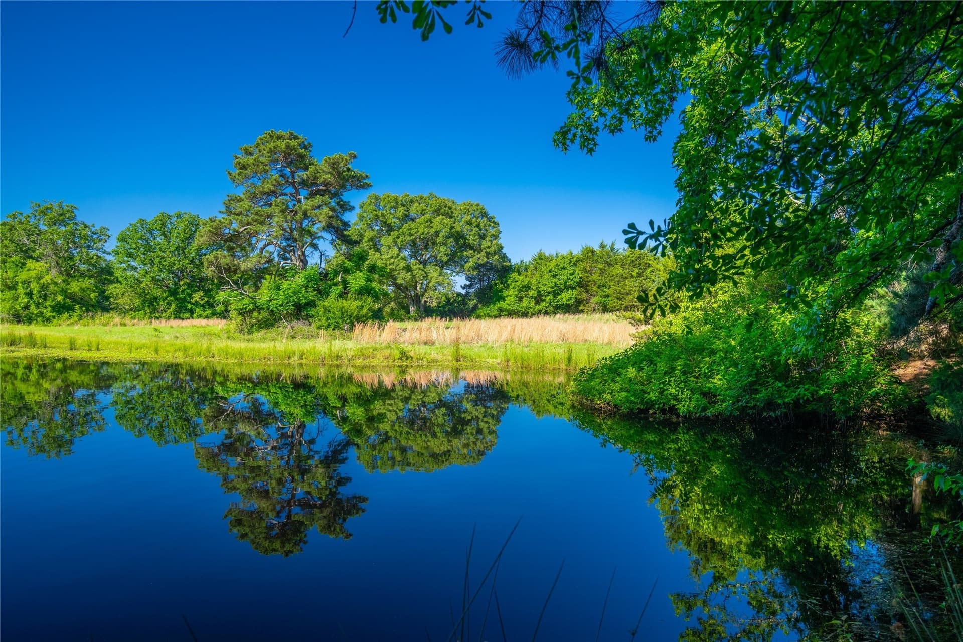 233 acres in Cass County