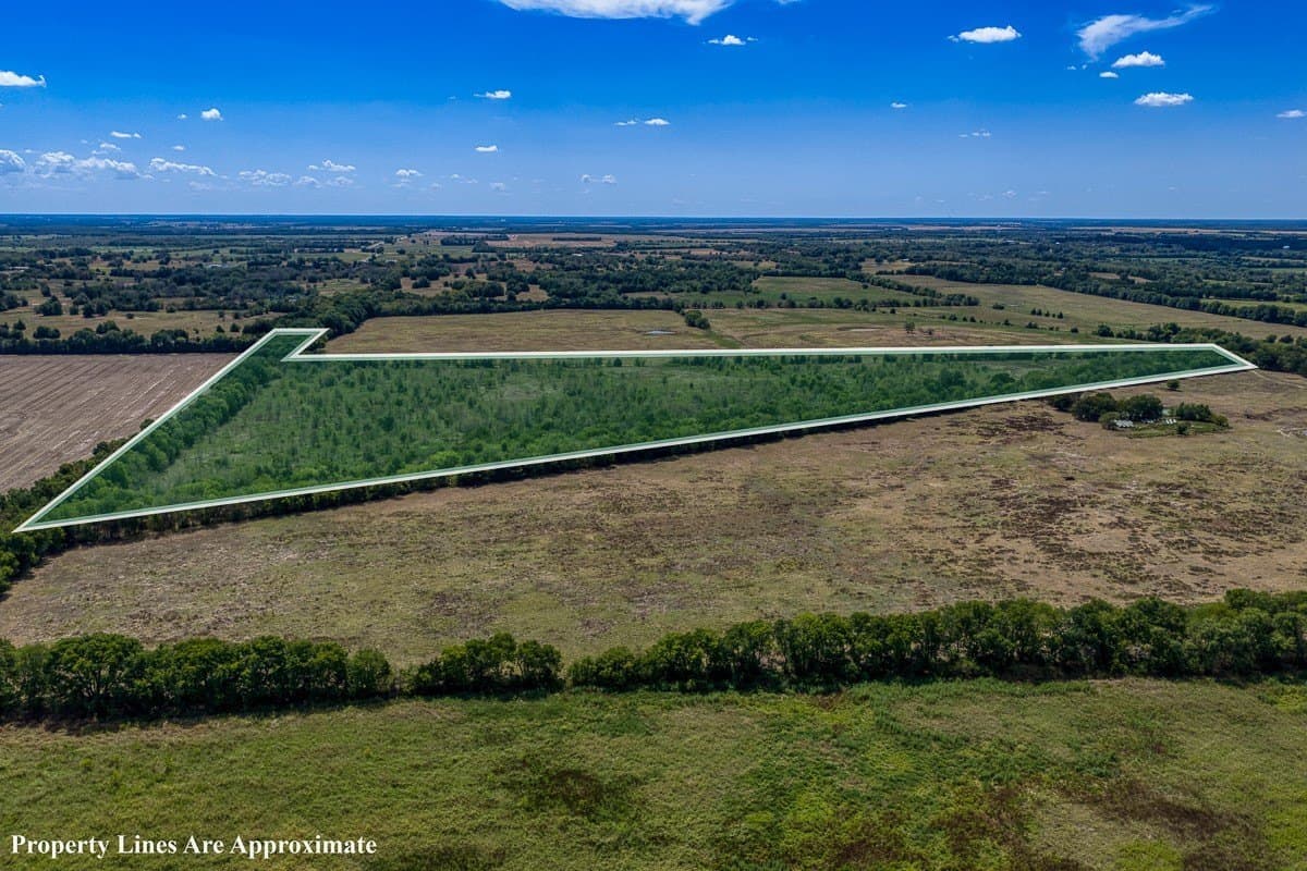 49 acres in Delta County