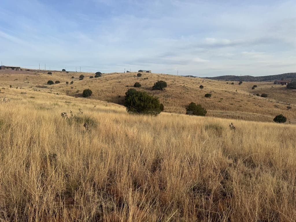 5 acres in Jeff Davis County