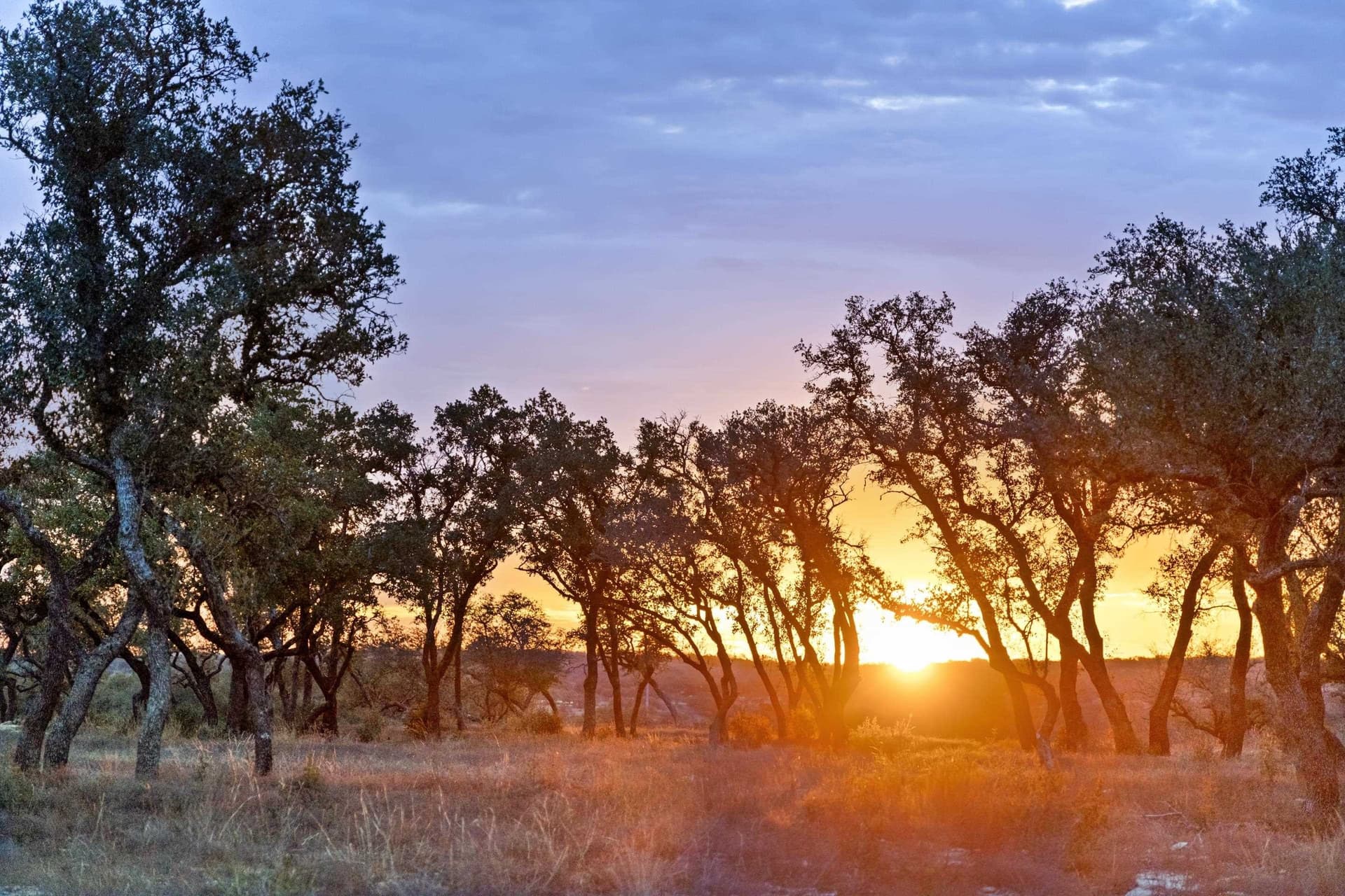 7.07 acres in Blanco County