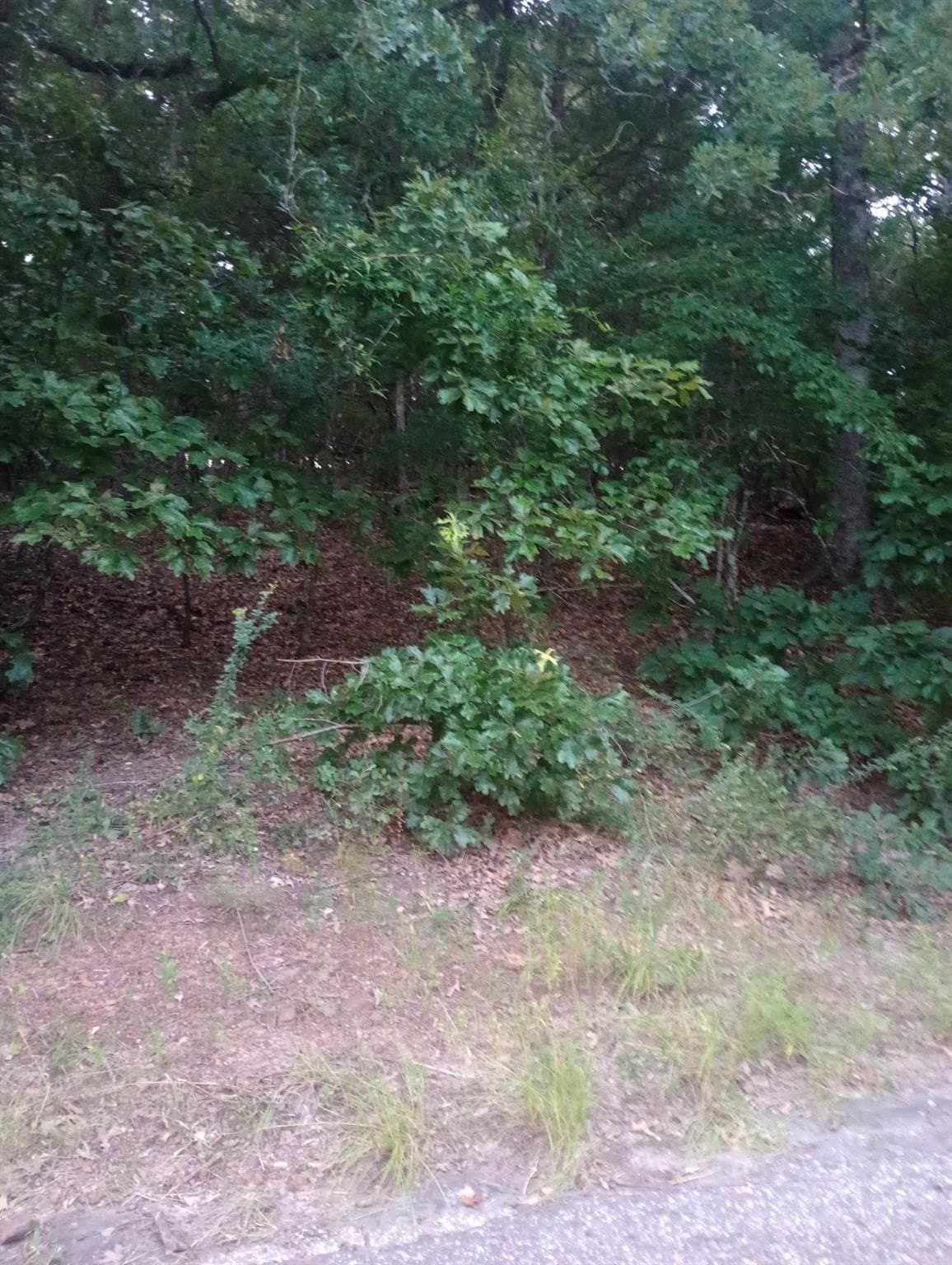 0.21 acres in Van Zandt County