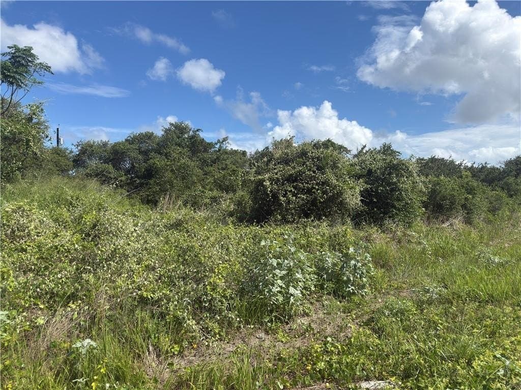 0.42 acres in Texas County