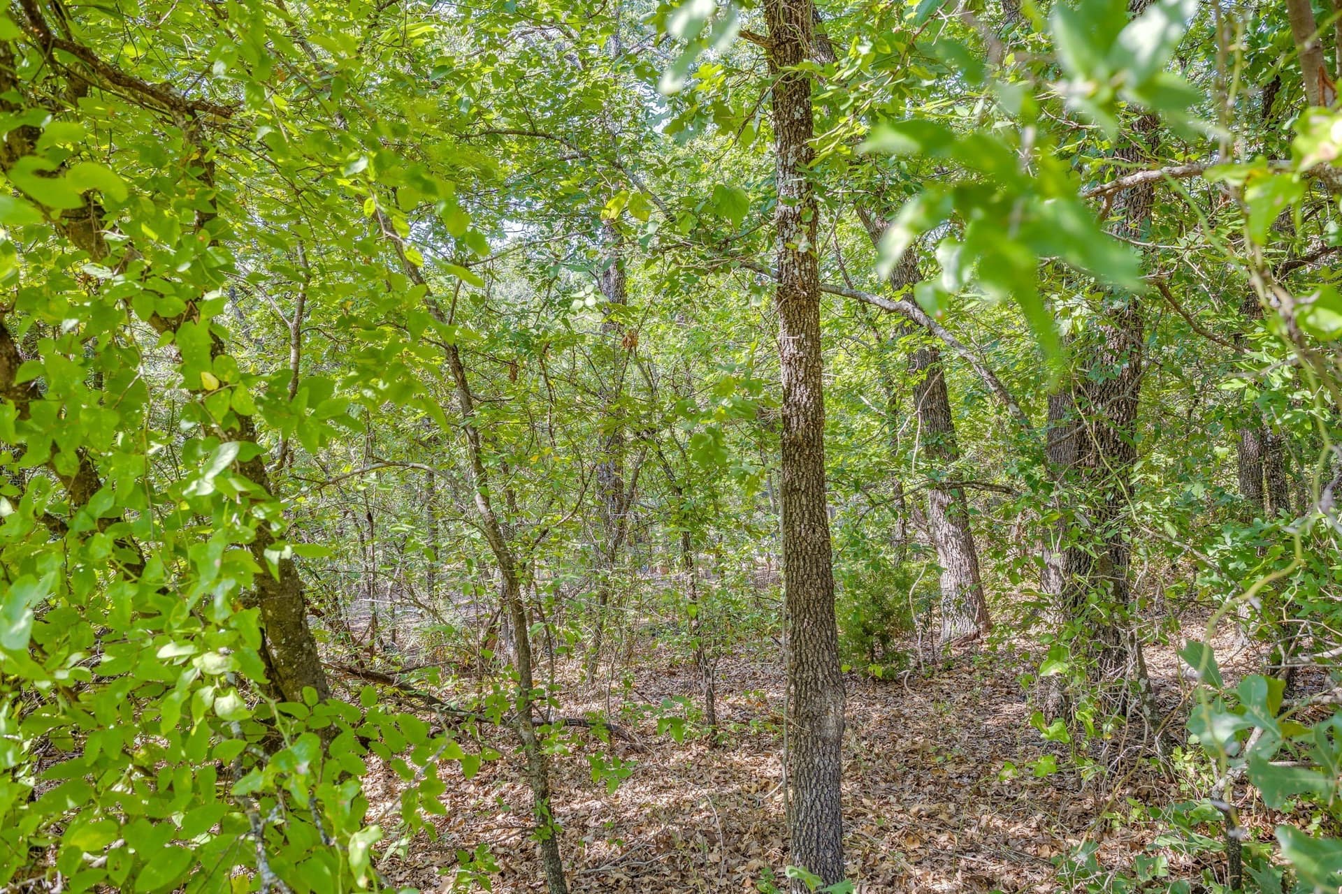 0.46 acres in Johnson County