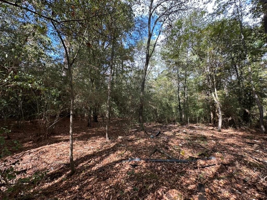 1.17 acres in Texas County