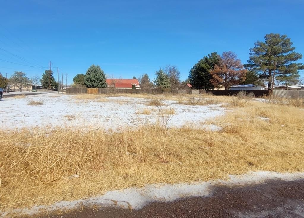 0.44 acres in Brewster County
