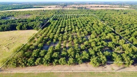 17.94 acres in Comanche County