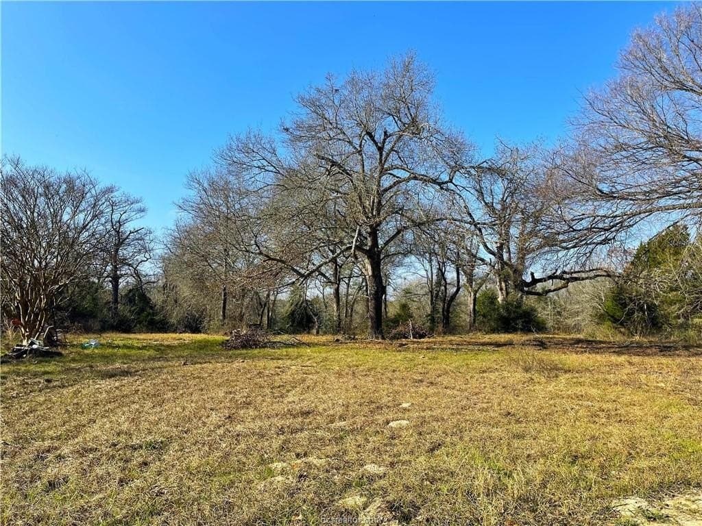 3 acres in Leon County