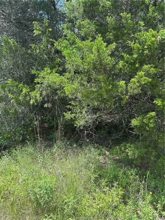 0.29 acres in Burleson County