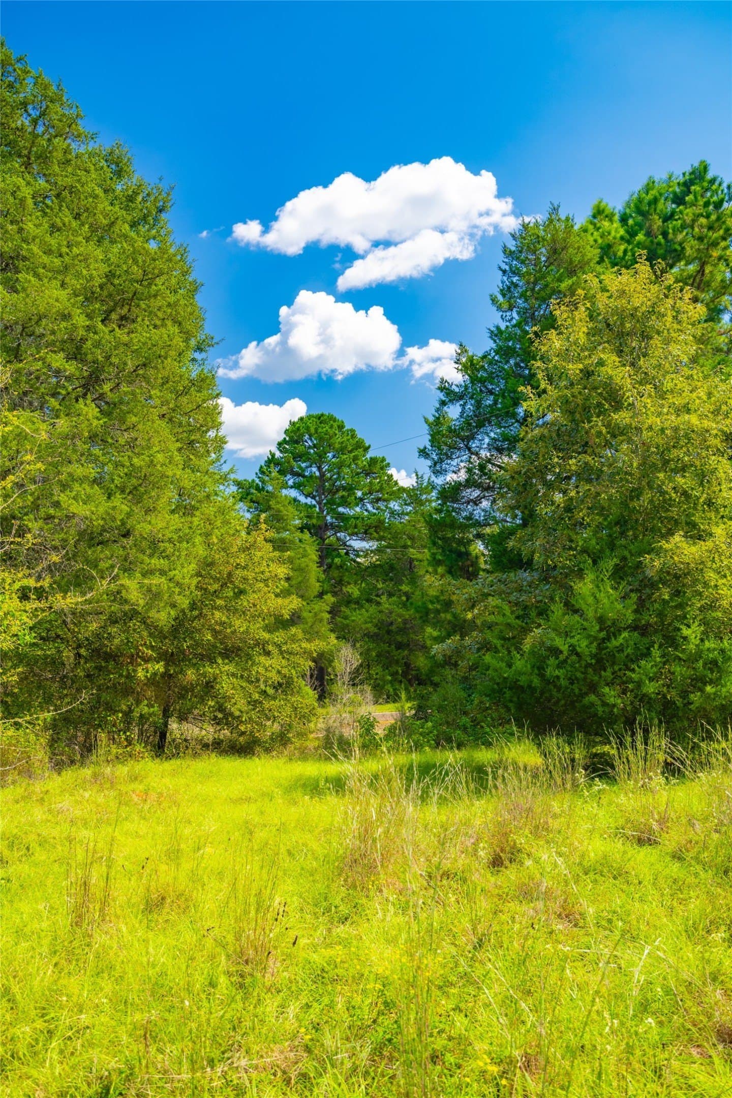 73 acres in Anderson County