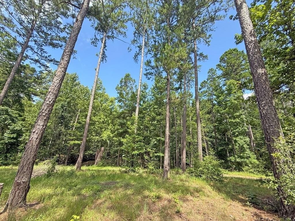 24.5 acres in Texas County
