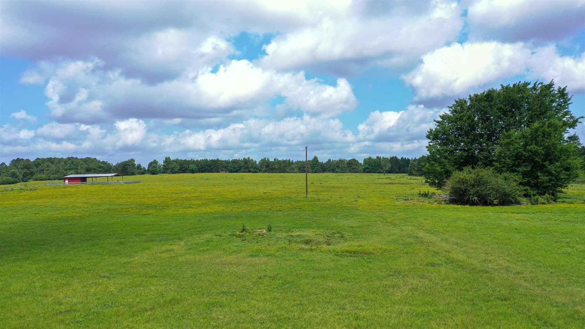 155.5 acres in Cass County