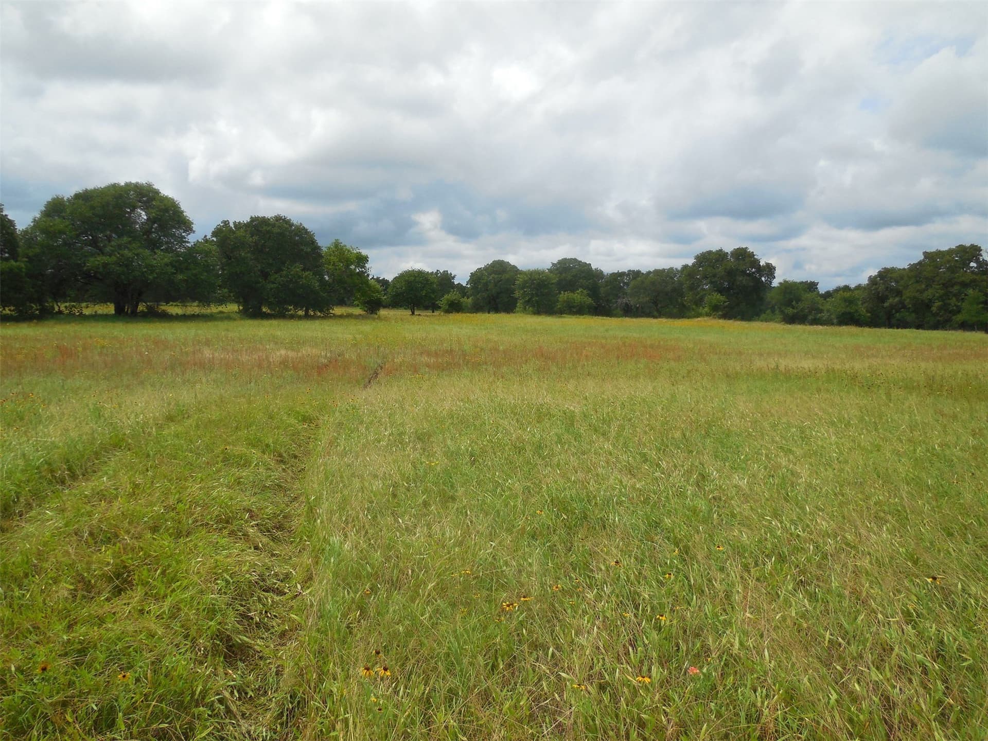 10.1 acres in Eastland County