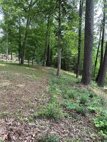 0.87 acres in Texas County