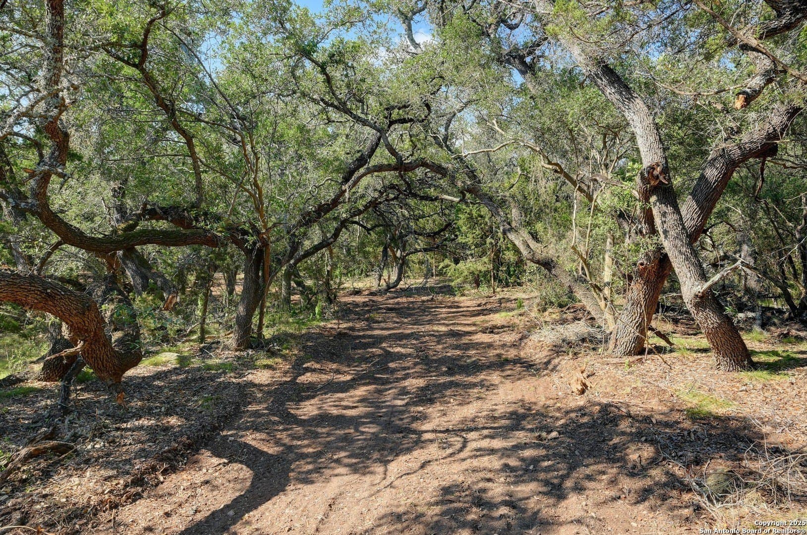 11.99 acres in Blanco County