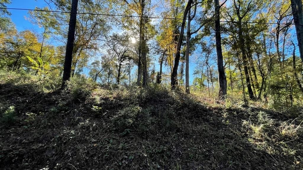0.28 acres in Texas County