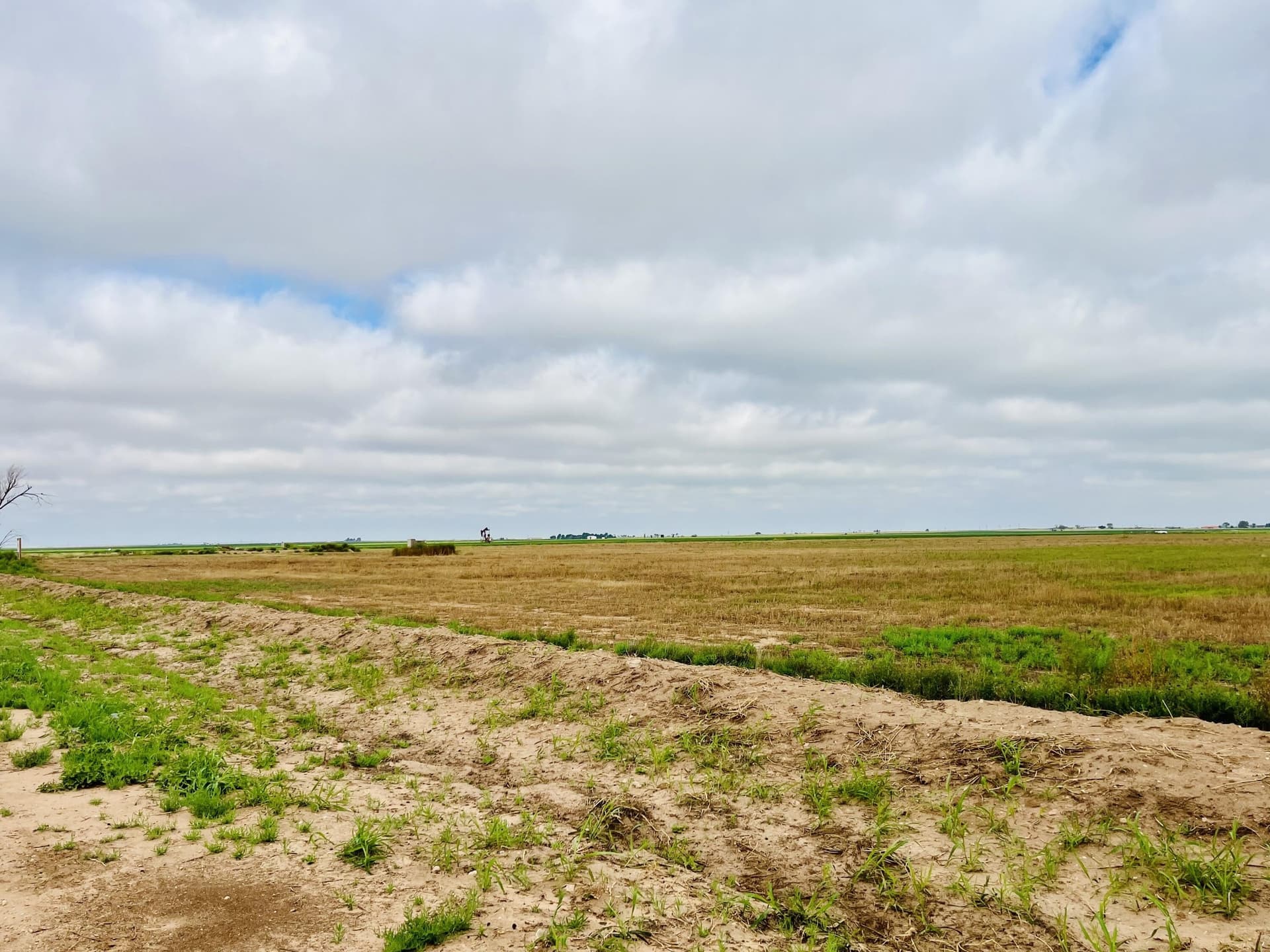 11.1 acres in Hockley County