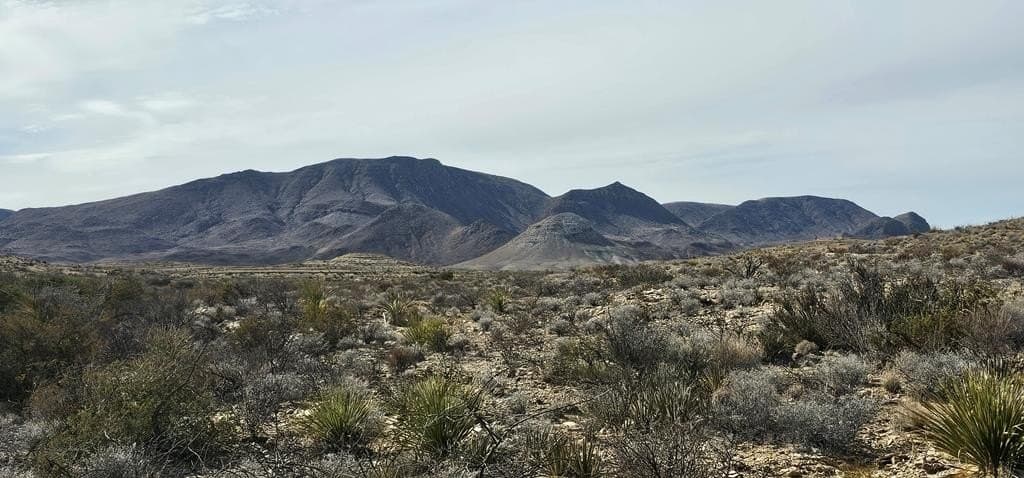 21 acres in Brewster County