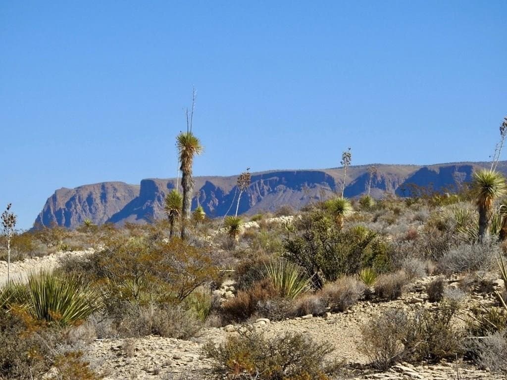 40 acres in Brewster County