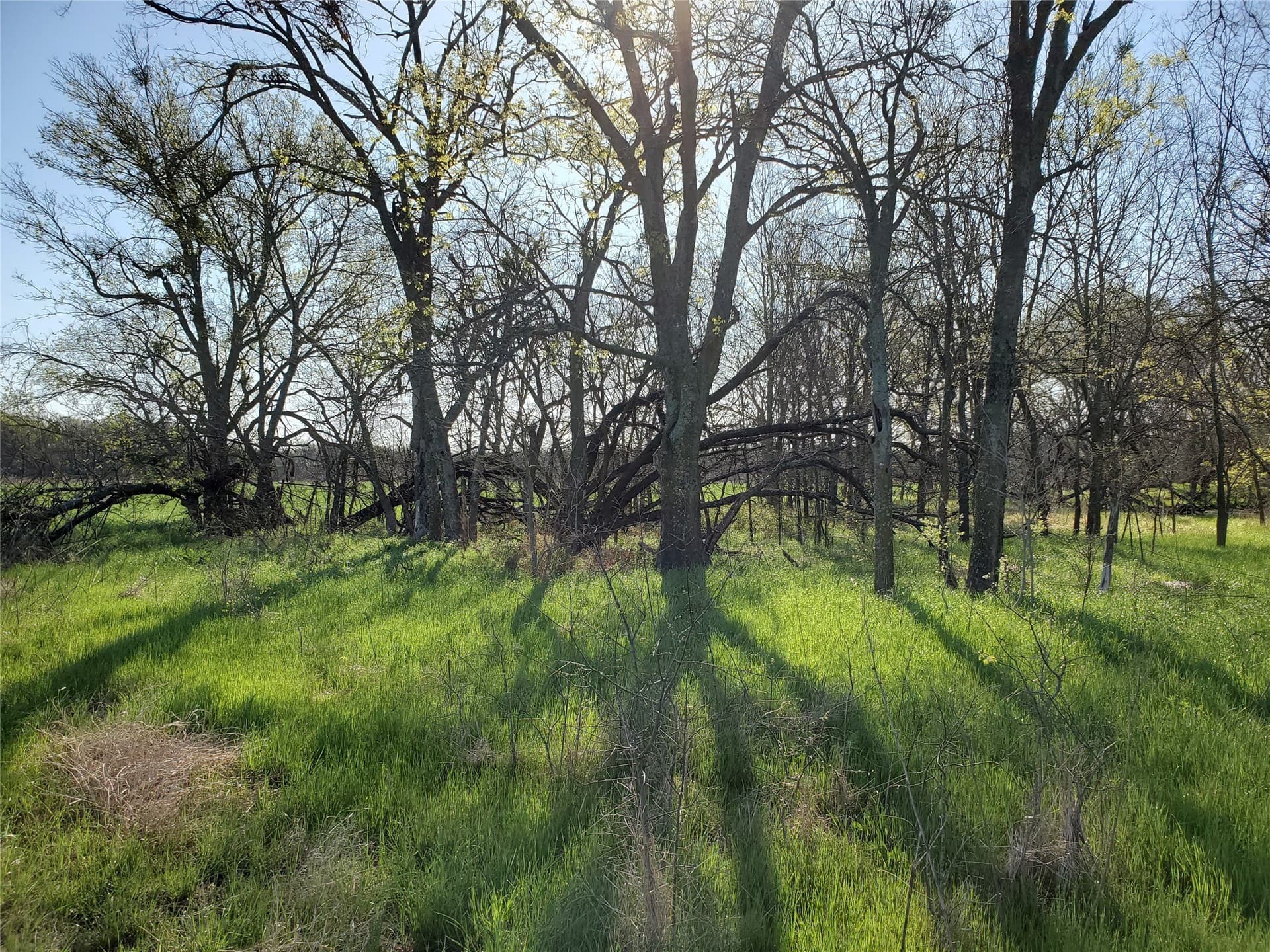 9.85 acres in Hill County